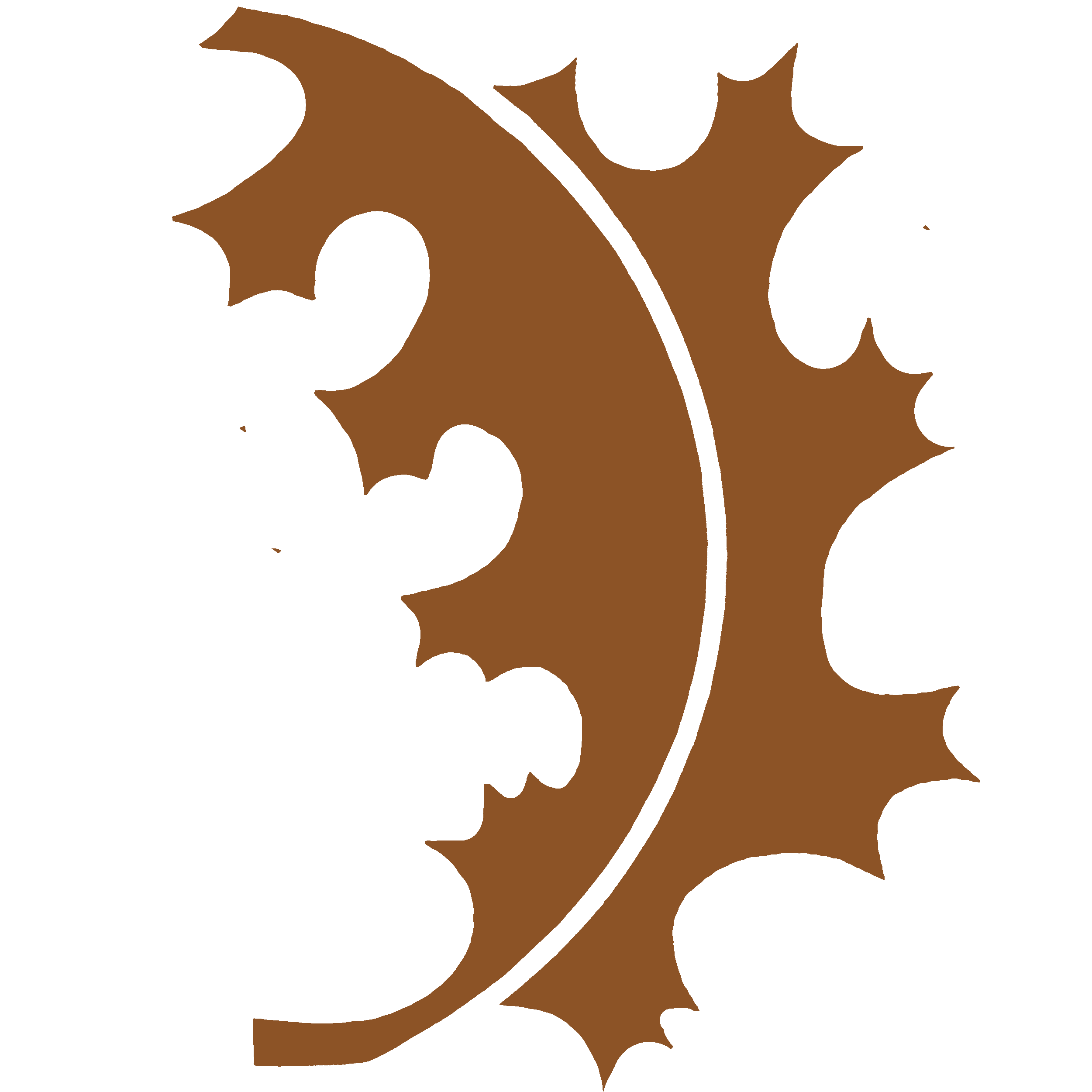 Copperleaf of Kansas City HOA